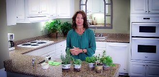 Herbs: Fresh and Dry